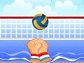 Joc Volley on-line