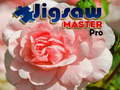 Joc Maestru de Puzzle Pro on-line