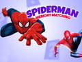 Joc Joc de memorie Spiderman on-line