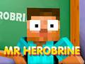 Joc Domnul Herobrine on-line