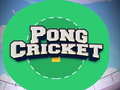 Joc Pong Cricket on-line