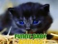 Joc Animale Bebe Amuzante on-line