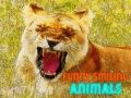 Joc Animale Amuzante și Zâmbitoare on-line