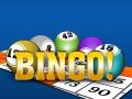 Joc Bingooo 2024 on-line