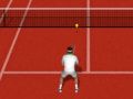 Joc Tenis Real on-line