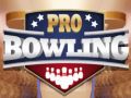 Joc Bowling Profesional on-line