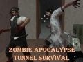 Joc Supraviețuire în tunelul apocalipsei zombilor on-line
