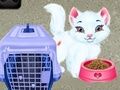 Joc Îngrijirea Animalelor Baby Taylor on-line