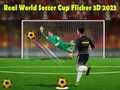 Joc Cupa Mondială de Fotbal Real Flicker 3D 2023 on-line