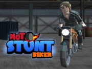 Joc Motociclist Cascador on-line