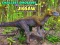 Joc Puzzle cu cei mai mici dinozauri on-line
