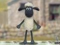 Joc Shaun Oile: Pula de Lână! on-line