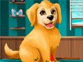 Joc Devino un groomer de căței on-line