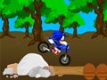 Joc Curse Sonic încrucișată on-line