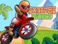 Joc Bikeri Extremi on-line