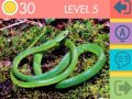 Joc Quiz cu 15 Imagini on-line
