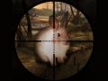 Joc Vânătoare clasică de iepuri cu lunetă 2019 on-line