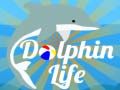 Joc Viața delfinului on-line
