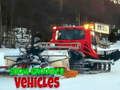 Joc Vehicule pentru Întreținerea Zăpezii on-line