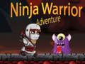 Joc Aventura Războinicului Ninja on-line