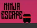 Joc Evacuare Ninja on-line