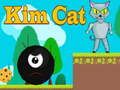 Joc Kim Pisica on-line