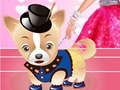Joc Îmbrăcăminte pentru câinele lui Barbie on-line