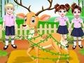 Joc Doctor de animale sălbatice Baby Taylor on-line
