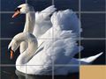 Joc Puzzle cu Animale Glisante on-line