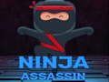 Joc Asasin Ninja on-line