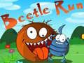 Joc Curse de Insecte on-line