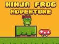 Joc Broasca Ninja Corretoare on-line