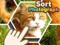 Joc Sortare fotografii on-line