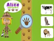 Joc Lumea Urmelor Alice on-line