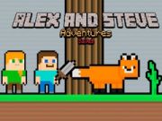 Joc Aventurile lui Alex și Steve: Salvări on-line