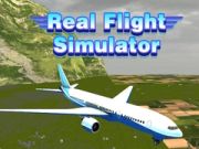 Joc Simulator de Zbor Real on-line