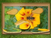 Joc Găsiți și restaurați: puzzle ascuns on-line