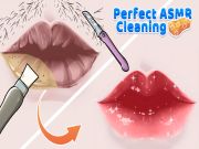 Joc Curățarea perfectă ASMR on-line