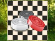 Joc Checkers clasic: pădure on-line