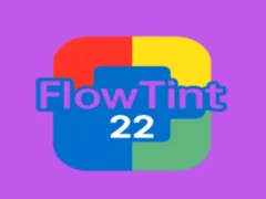 Joc FlowTint on-line