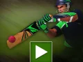 Joc Provocarea Batter-ului de Crichet on-line