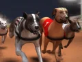 Joc Curse de greyhound on-line