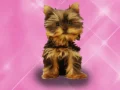 Joc Spală animale de companie Prințesă Copii on-line Joc Spală animale de companie Prințesă Copii on-line