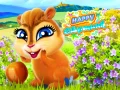 Joc Chipmunk Fericit on-line