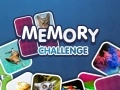 Joc Provocarea Memoriei on-line