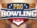 Joc Bowling Profesional on-line Joc Bowling Profesional on-line