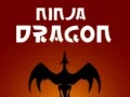 Joc Ninja Dragon on-line