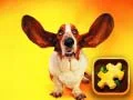 Joc Puzzle cu Câini Amuzanți on-line