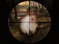 Joc Vânătoare clasică de iepuri cu lunetă 2019 on-line