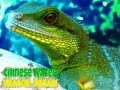Joc Puzzlă cu Dragonul de Apă Chinezesc on-line Joc Puzzlă cu Dragonul de Apă Chinezesc on-line